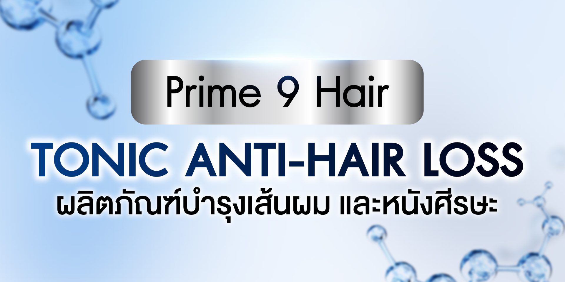 ออกแบบภาพเว็บไซต์ (2-4) - Prime 9 Hair Care-01